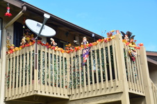 Enlarge photo 41