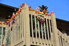 Enlarge photo 42