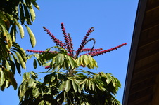 Enlarge photo 81
