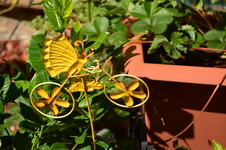 Enlarge photo 82