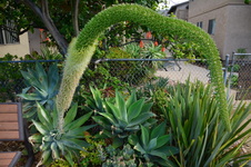 Enlarge photo 119