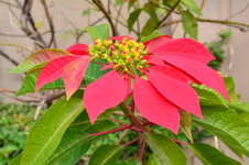 Enlarge photo 123