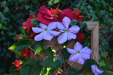 Enlarge photo 126