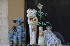 Enlarge photo 127