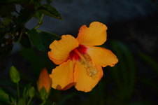 Enlarge photo 134