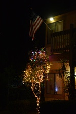 Enlarge photo 143