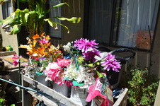 Enlarge photo 211