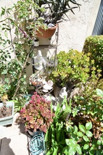 Enlarge photo 208