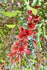 Enlarge photo 193