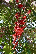 Enlarge photo 192
