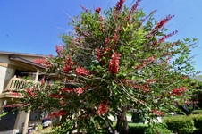 Enlarge photo 190