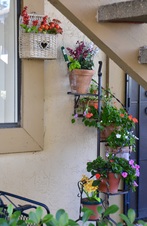 Enlarge photo 91