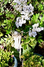 Enlarge photo 150