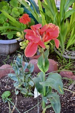 Enlarge photo 152