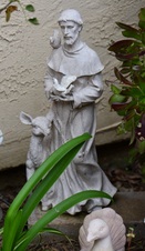 Enlarge photo 154