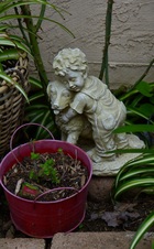Enlarge photo 155