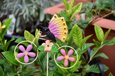 Enlarge photo 156