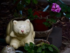 Enlarge photo 160