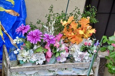Enlarge photo 163