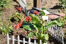 Enlarge photo 170