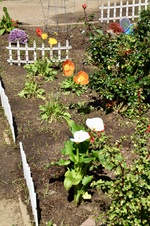 Enlarge photo 171