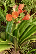 Enlarge photo 179