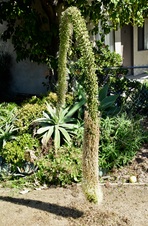 Enlarge photo 180