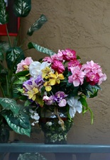 Enlarge photo 106
