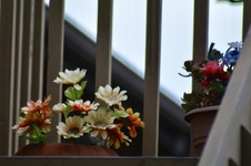 Enlarge photo 105