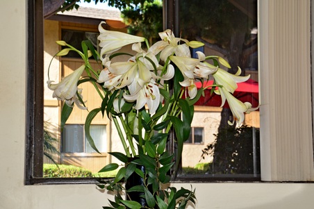 Enlarge photo 21