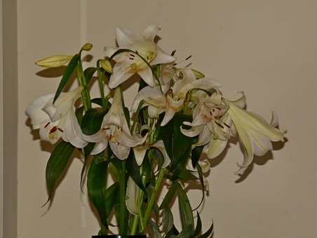 Enlarge photo 22