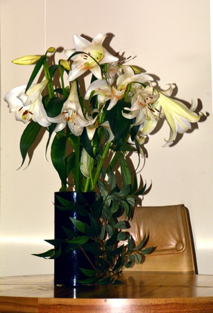 Enlarge photo 24