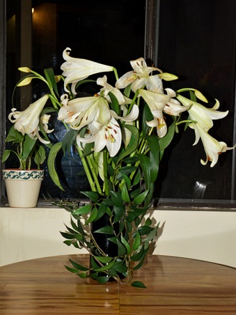 Enlarge photo 26
