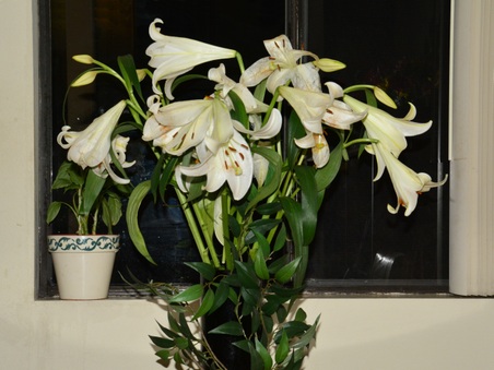 Enlarge photo 28