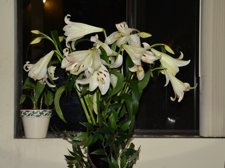 Enlarge photo 29