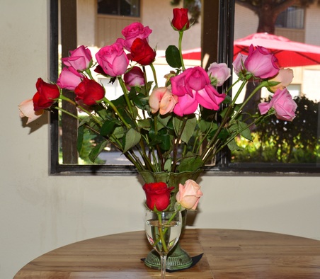 Enlarge photo 16