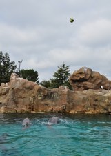 Enlarge photo 14