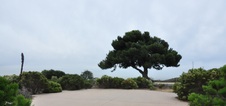 Enlarge photo 33