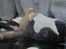 Enlarge photo 19