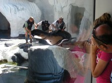 Enlarge photo 33