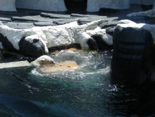 Enlarge photo 38