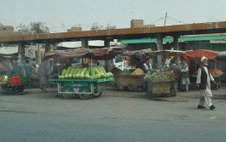 Enlarge photo 37