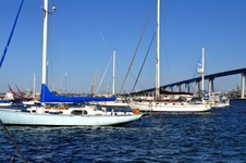 Enlarge photo 14