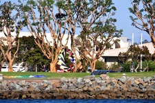 Enlarge photo 23