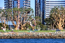Enlarge photo 24