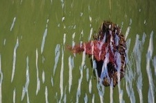 Enlarge photo 27