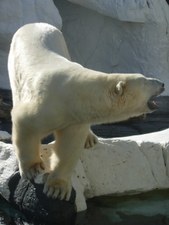 Seaworld