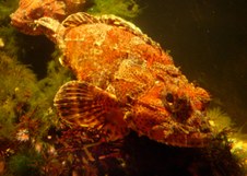 Enlarge photo 32