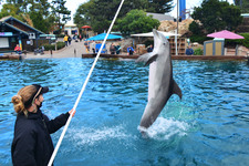 Enlarge photo 63