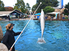 Enlarge photo 64